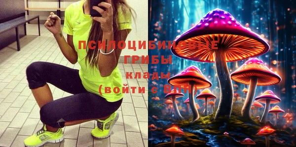 гашик Вязьма