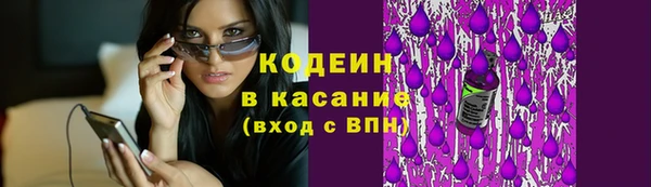гашик Вязьма
