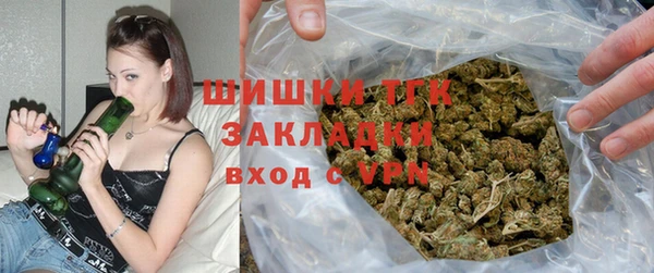 гашик Вязьма